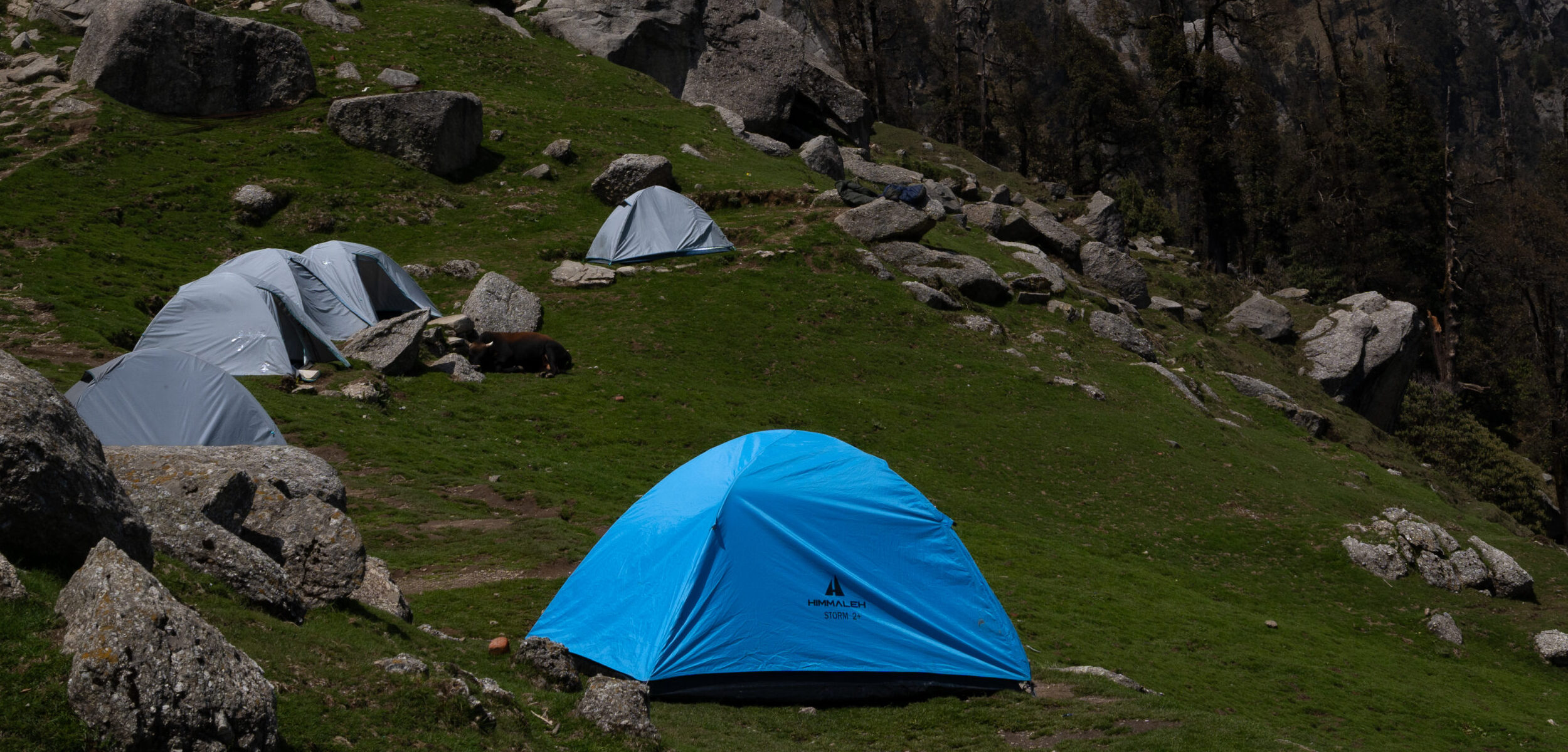 Tents set up for camping at the top of the mountain of the Triund Trek, Dharamshala