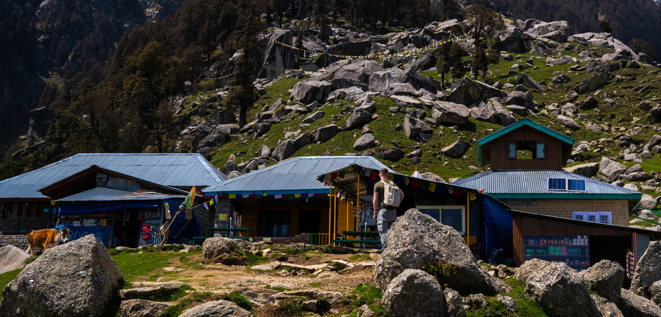 Alternative accommodations to camping on top of the mountain after the Triund Trek