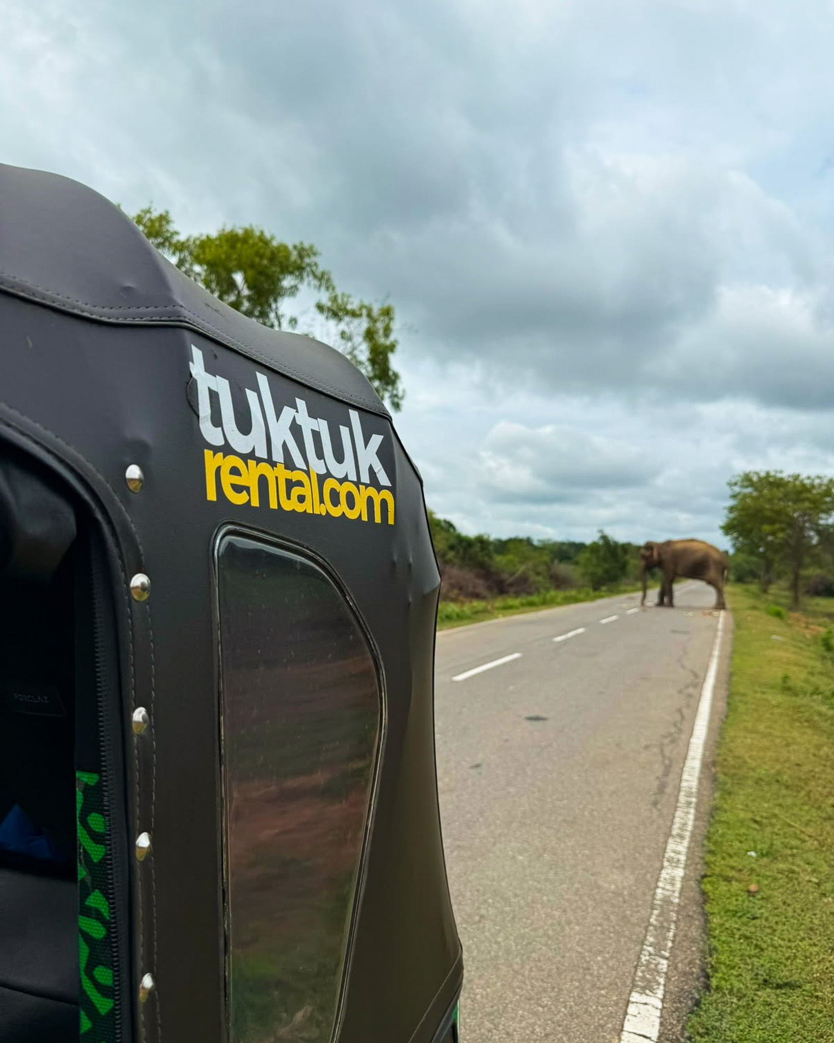 A tuk-tuk rental on a road with an elephant behind it