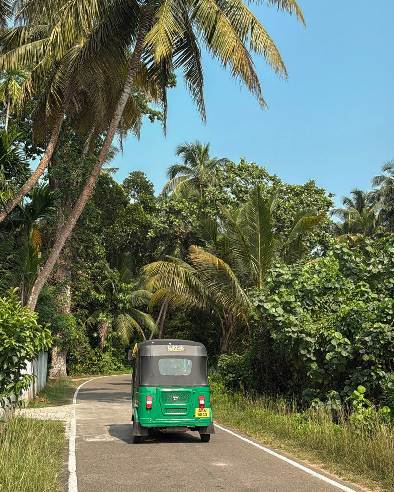Green Tuk-tuk heading down a palm tree lined road