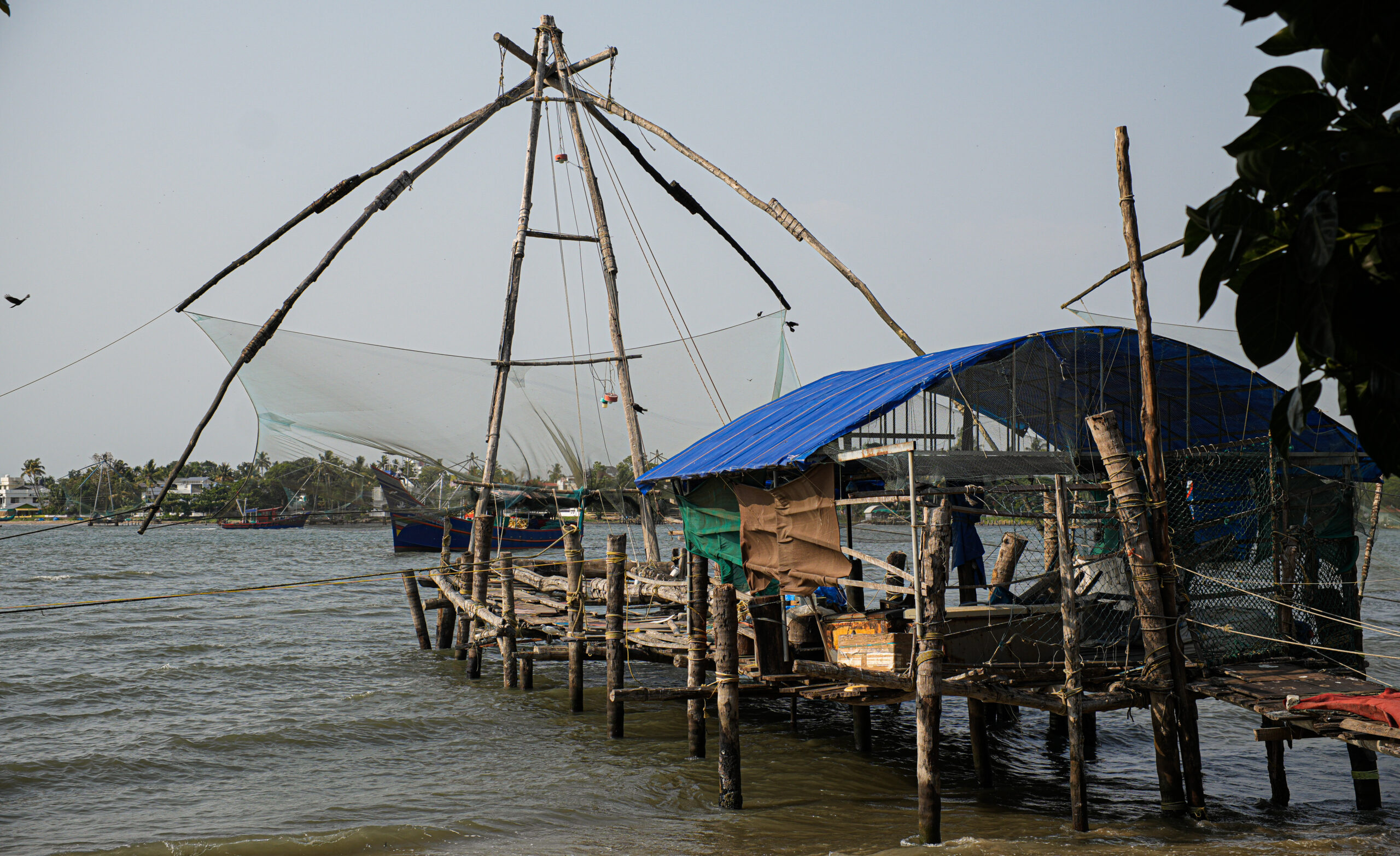 The Chinese fishing nets located on the coast of Fort Kochi