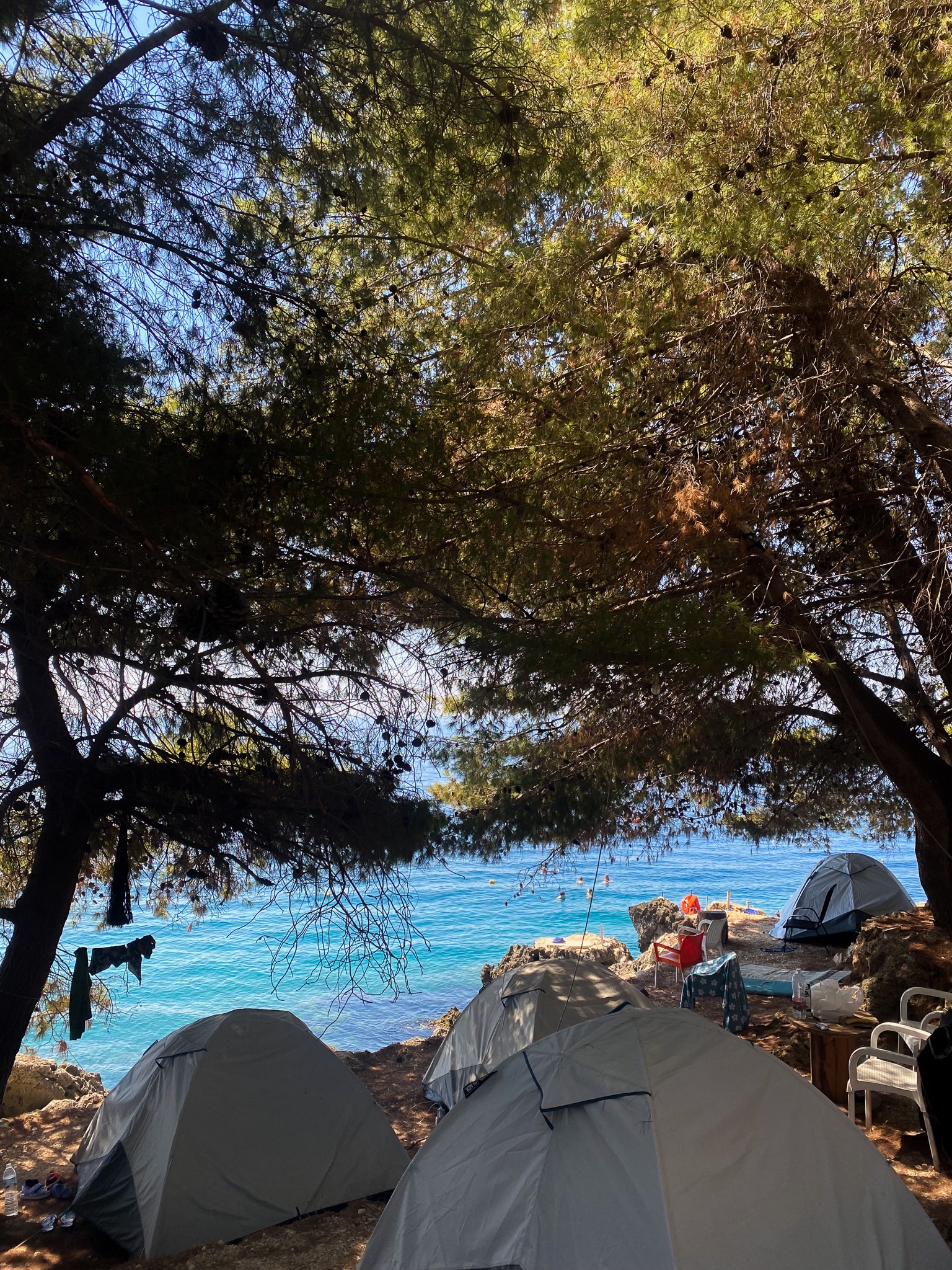 Gray camping tents pitched under shaded pine trees on a cliffside overlooking the vibrant blue ocean at Pine Side Camp in Himarë, Albania.