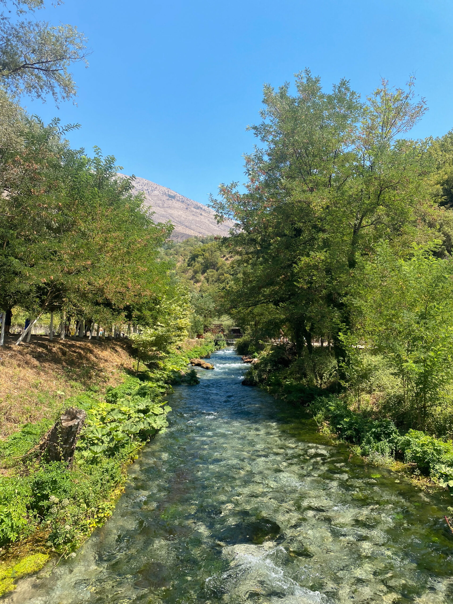 The crystal-clear waters flowing through the forested area near the Blue Eye