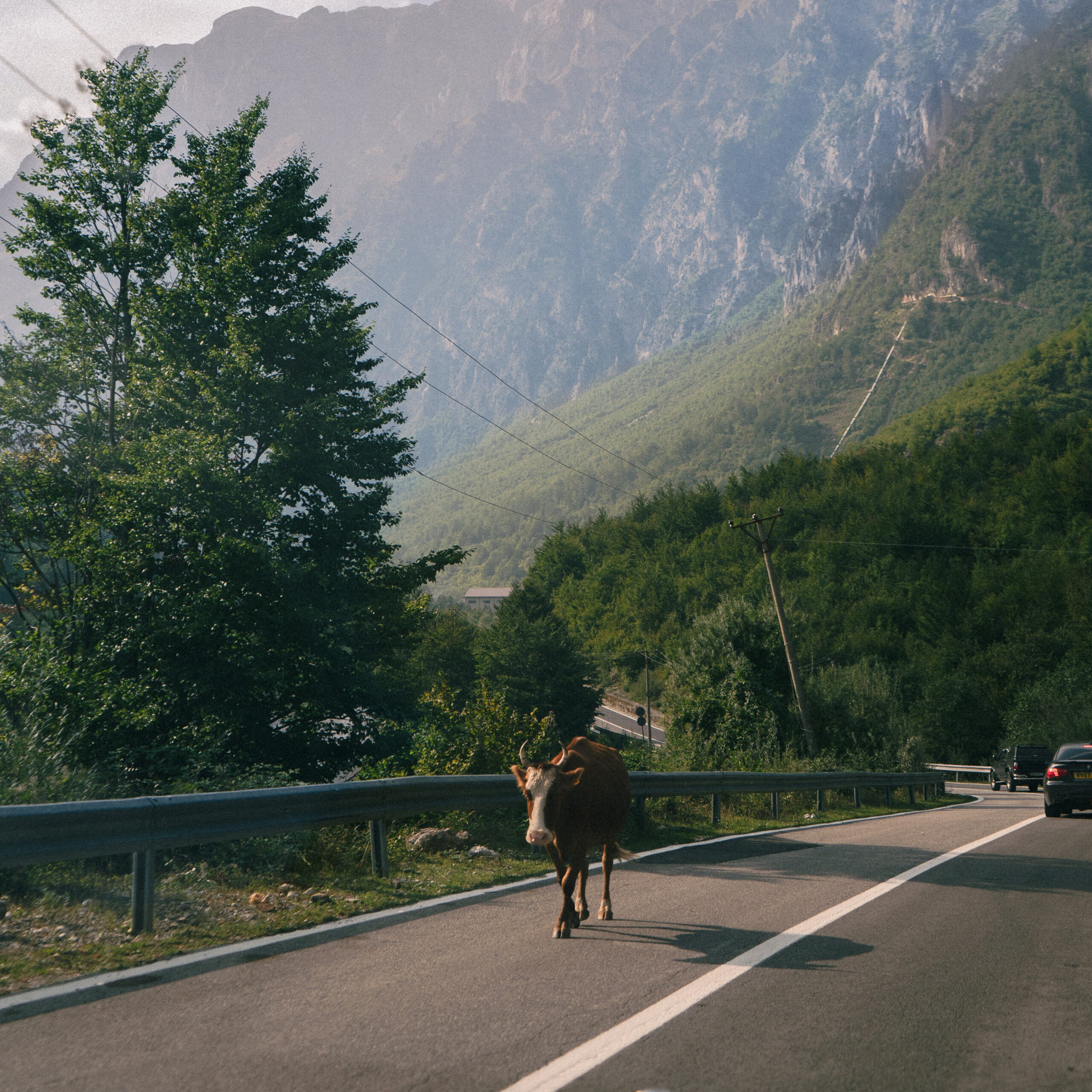 Transport on the roads along the coast in Albania surrounded by nature, showing how to get around Albania.