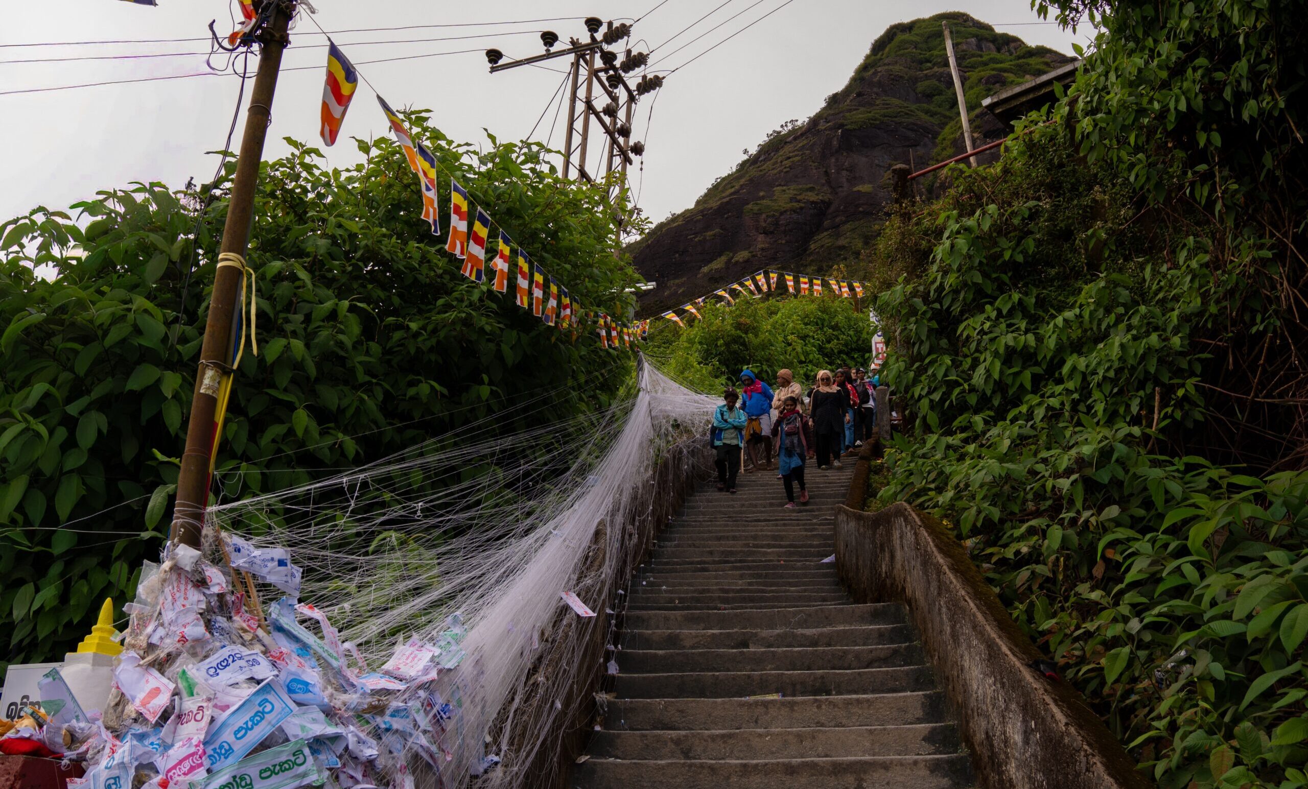 A set of stairs running up to the mountain of Sri Pada (Adam's Peak) in Sri Lanka with buddhism flags along the edge