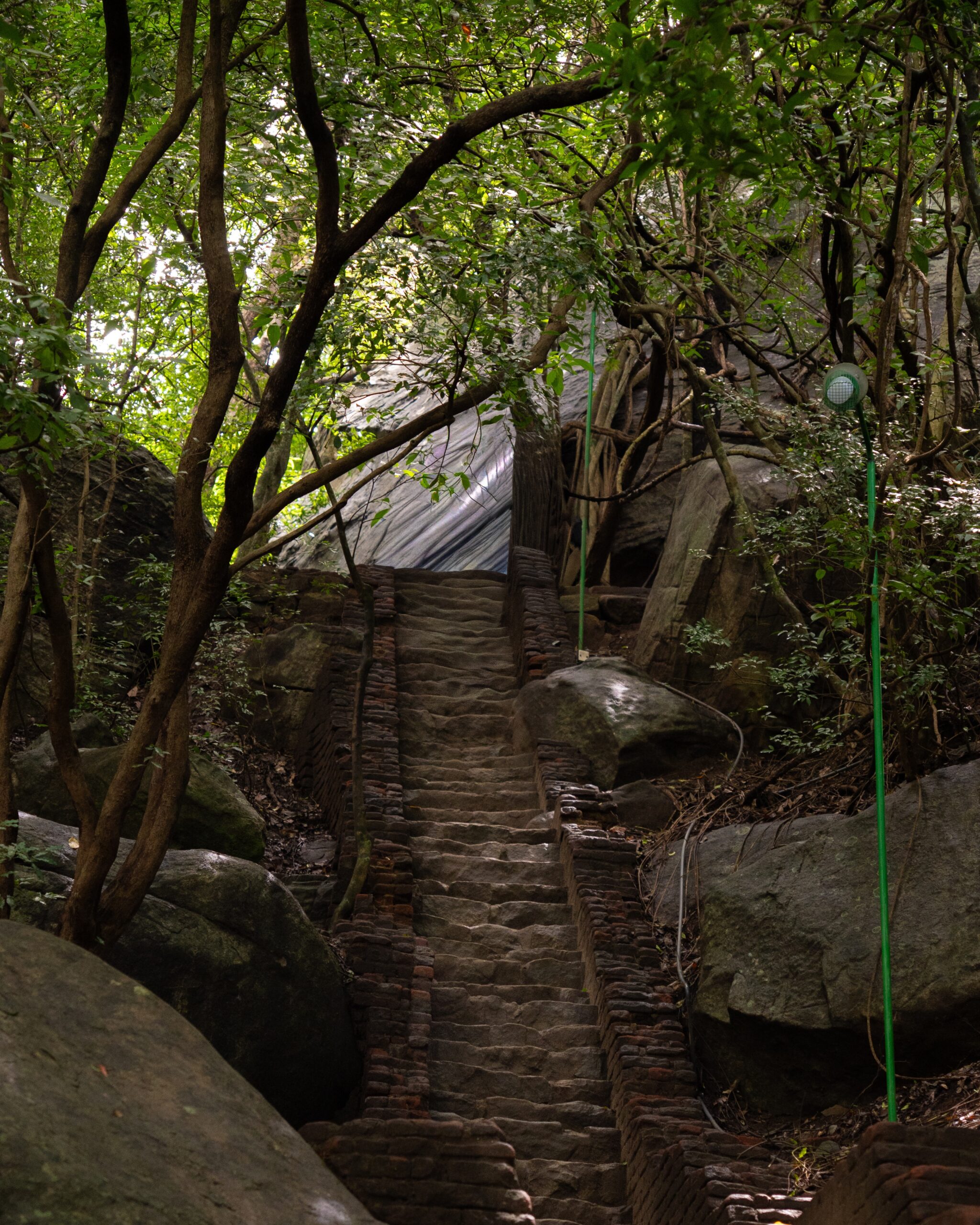 Steps leading up to the trail of Pidurangala Rock in Sigiriya, Sri Lanka