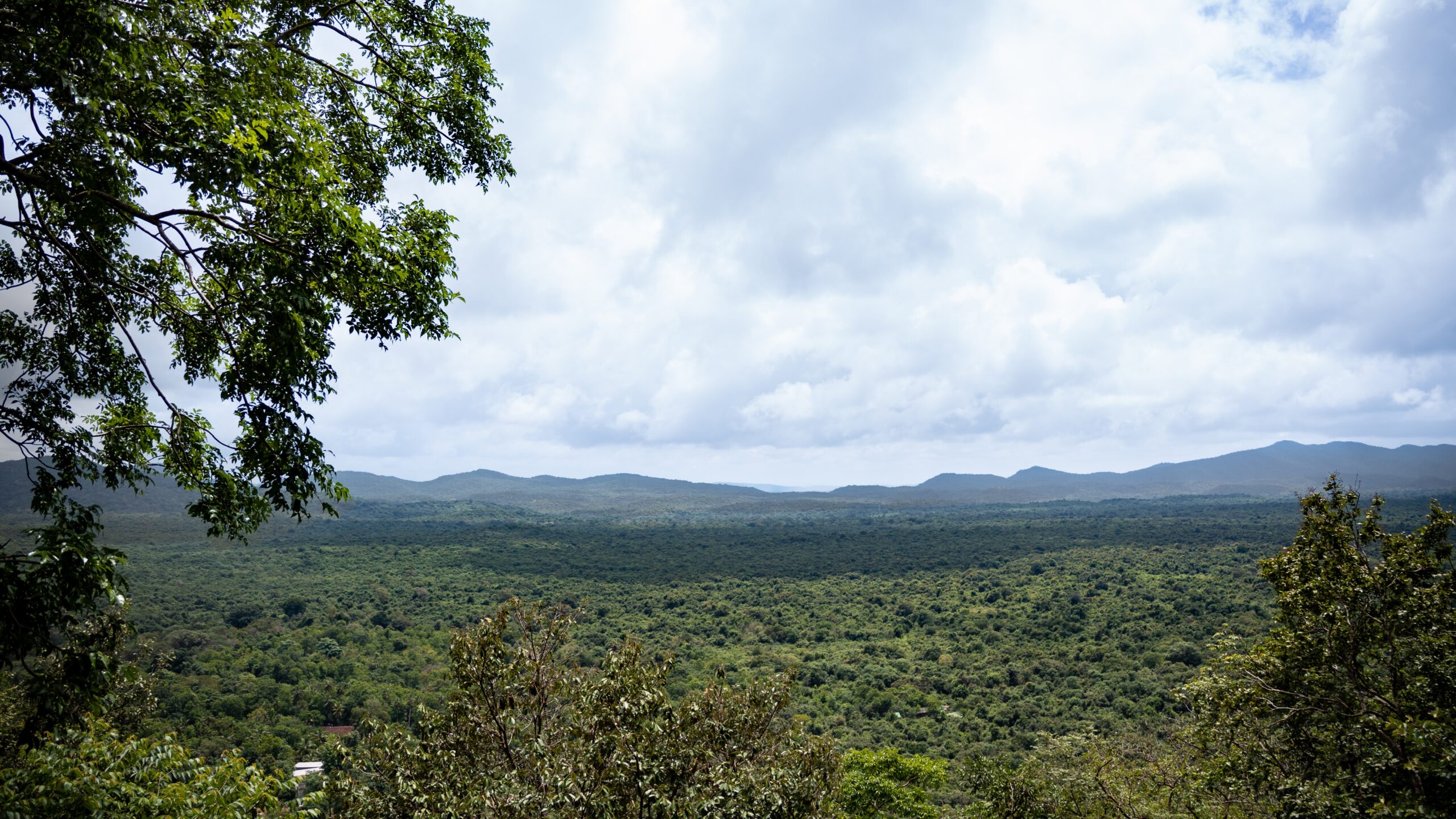 A view into the distance across the Sigiriya area in Sri Lanka from the trail to Pidurangala Rock