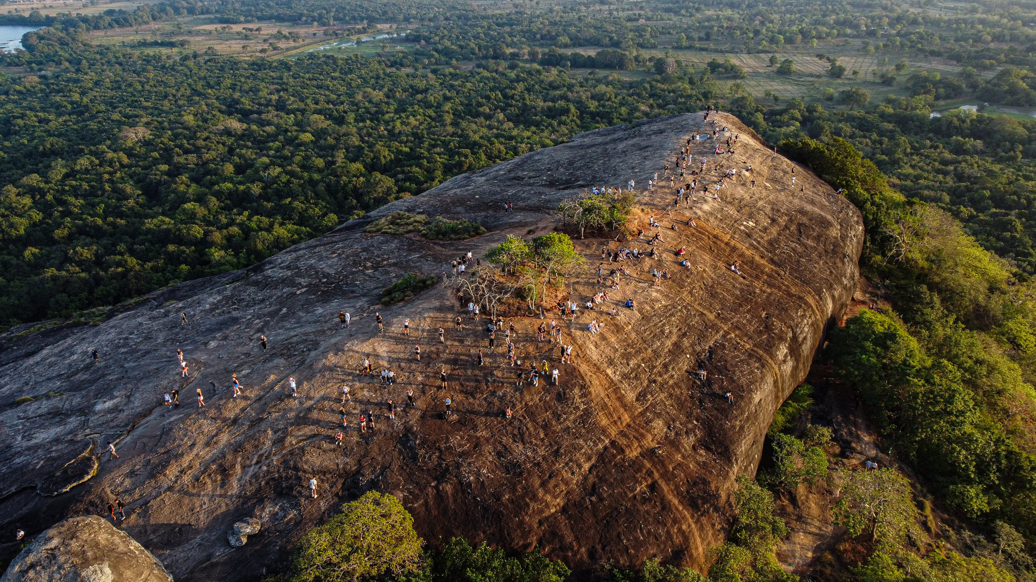 An aerial shot of Pidurangala Rock during a beautiful light. The jungle floor is green and bright and Sigiriya is in the distance.
