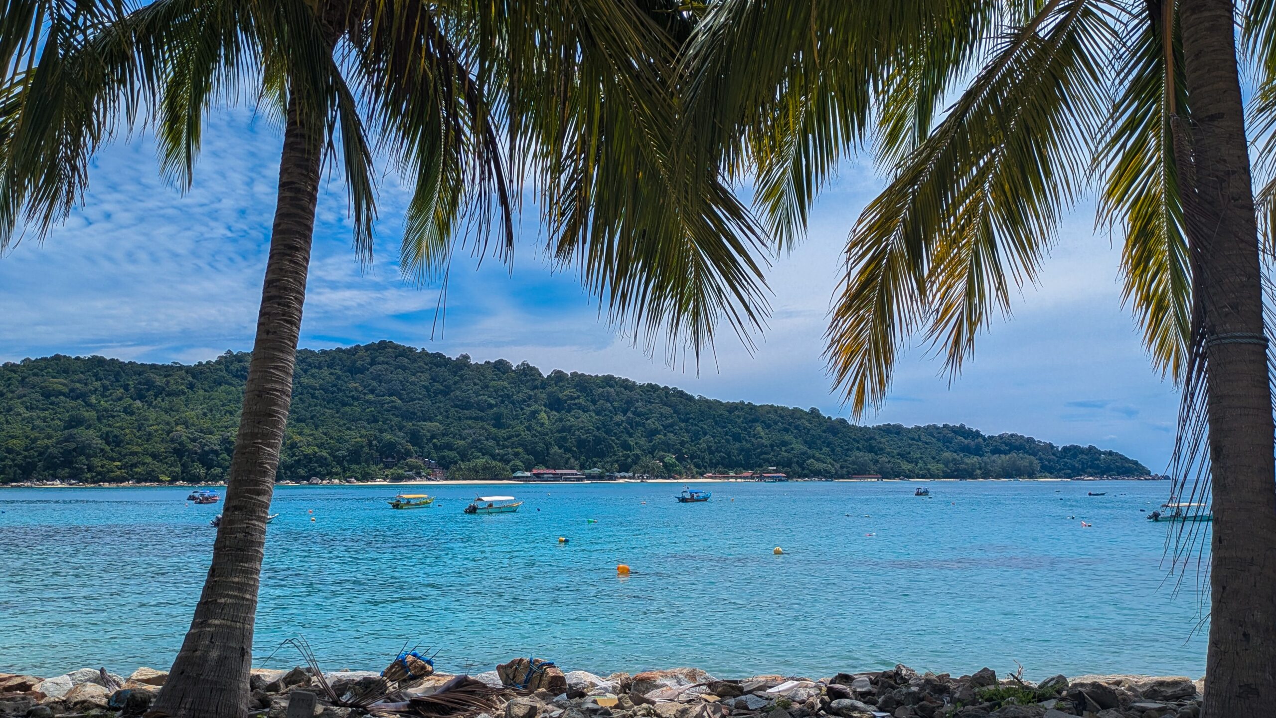 Views of stunning blue waters with palm trees in the foreground and a green island in the background