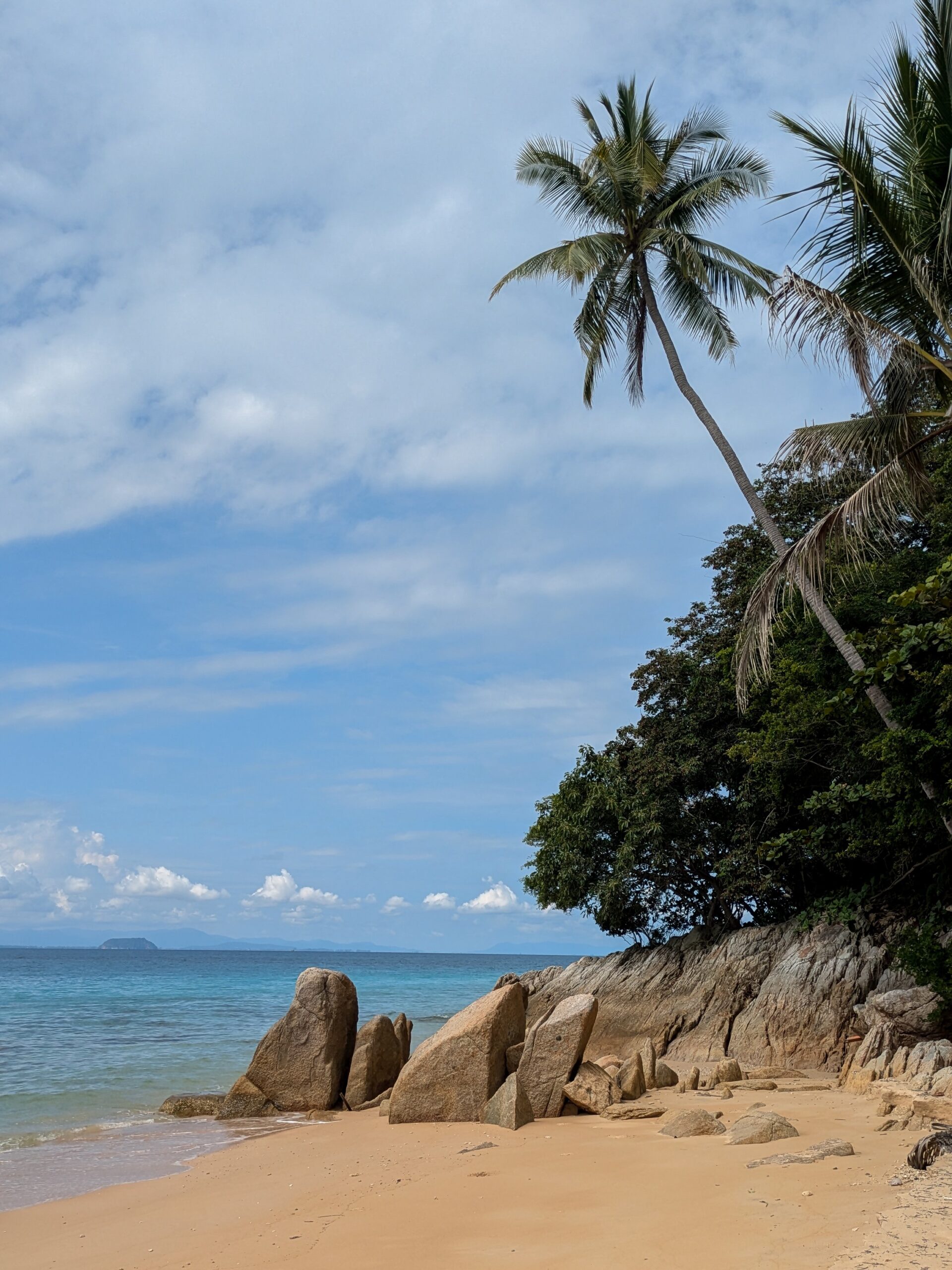 A stunning beach with a single palm tree on Perhentian Islands, Malaysia