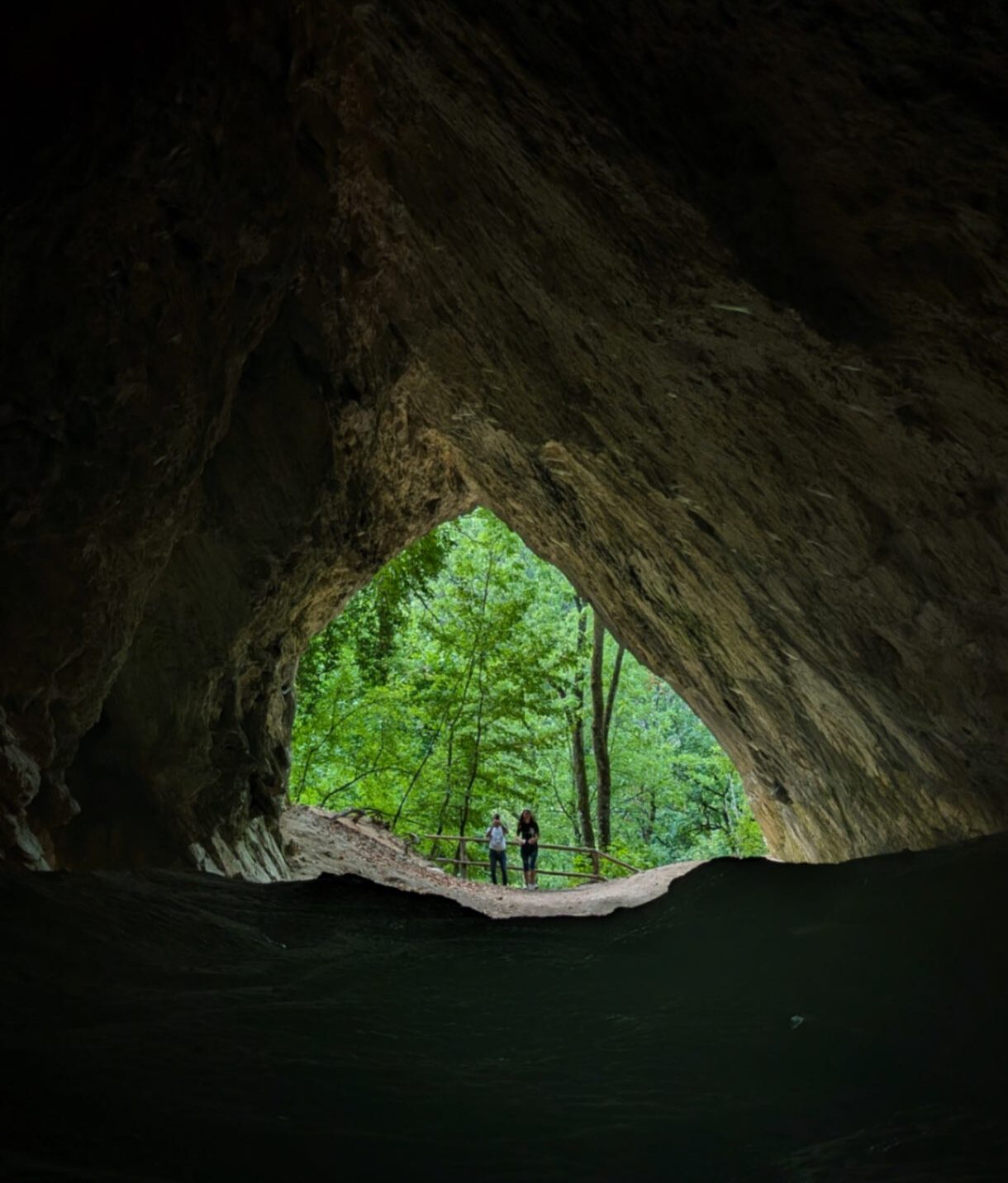Istállós-kői Cave in Bǔkk National Park. A huge empty space that opens up into the nature of green light
