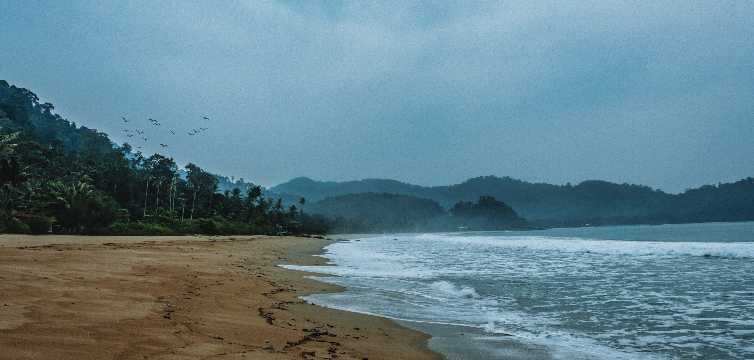 Waves crashing onto a dark sand beach on a moody, overcast day with misty jungle hills in the background.