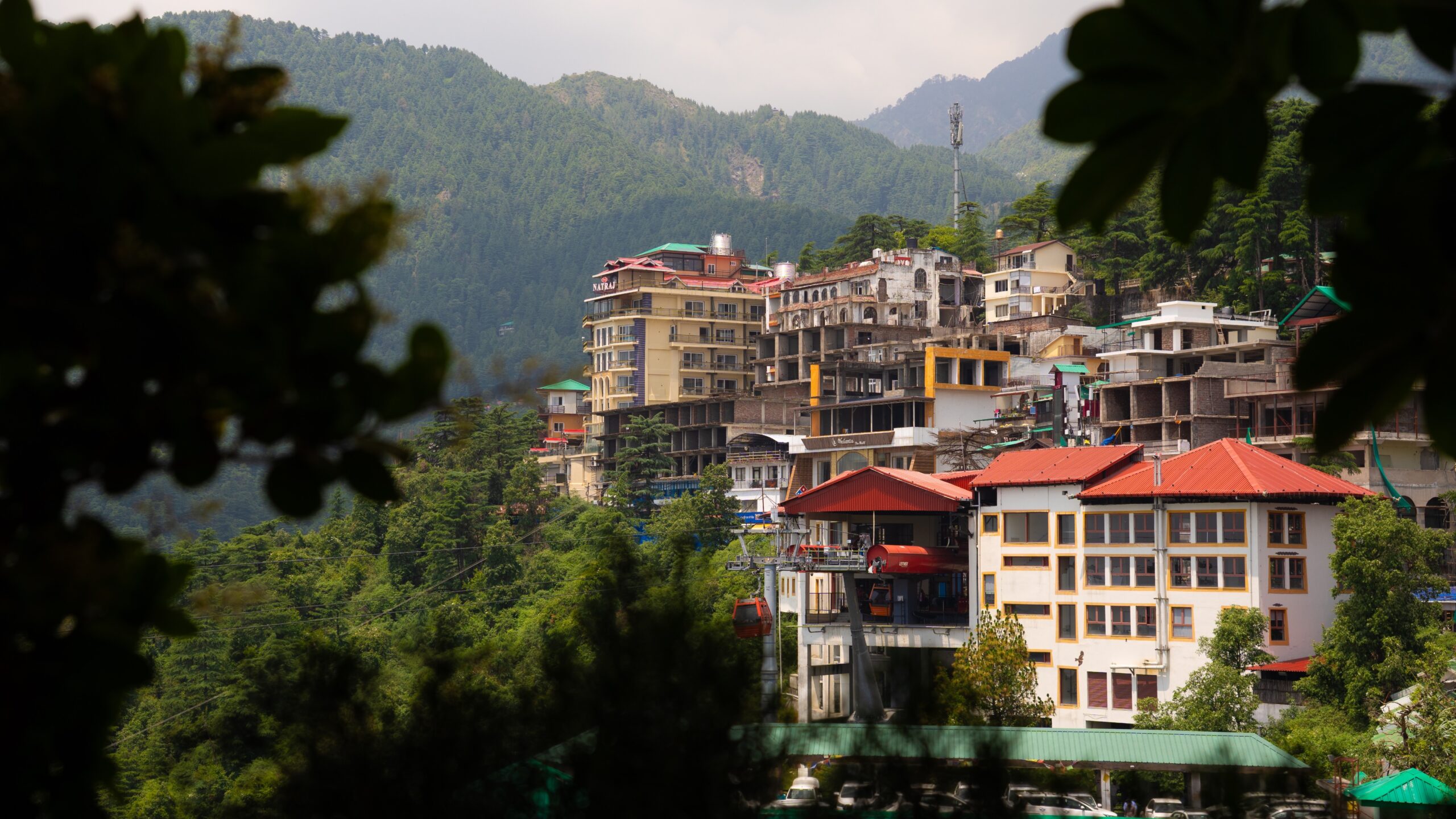 A mountain town on a hill through trees in a lush nature area of McLeod Ganj, India