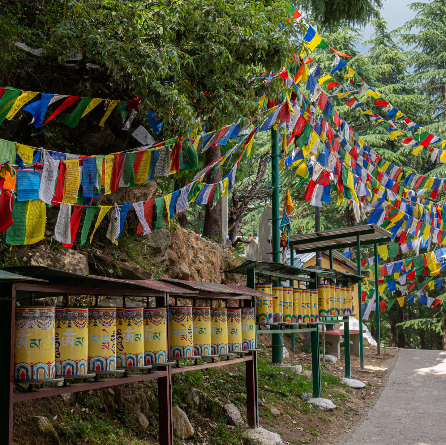 Buddhist prayer wheels and Tibetan Buddhist flags flying around a temple in Mini Tibet, Dharamshala