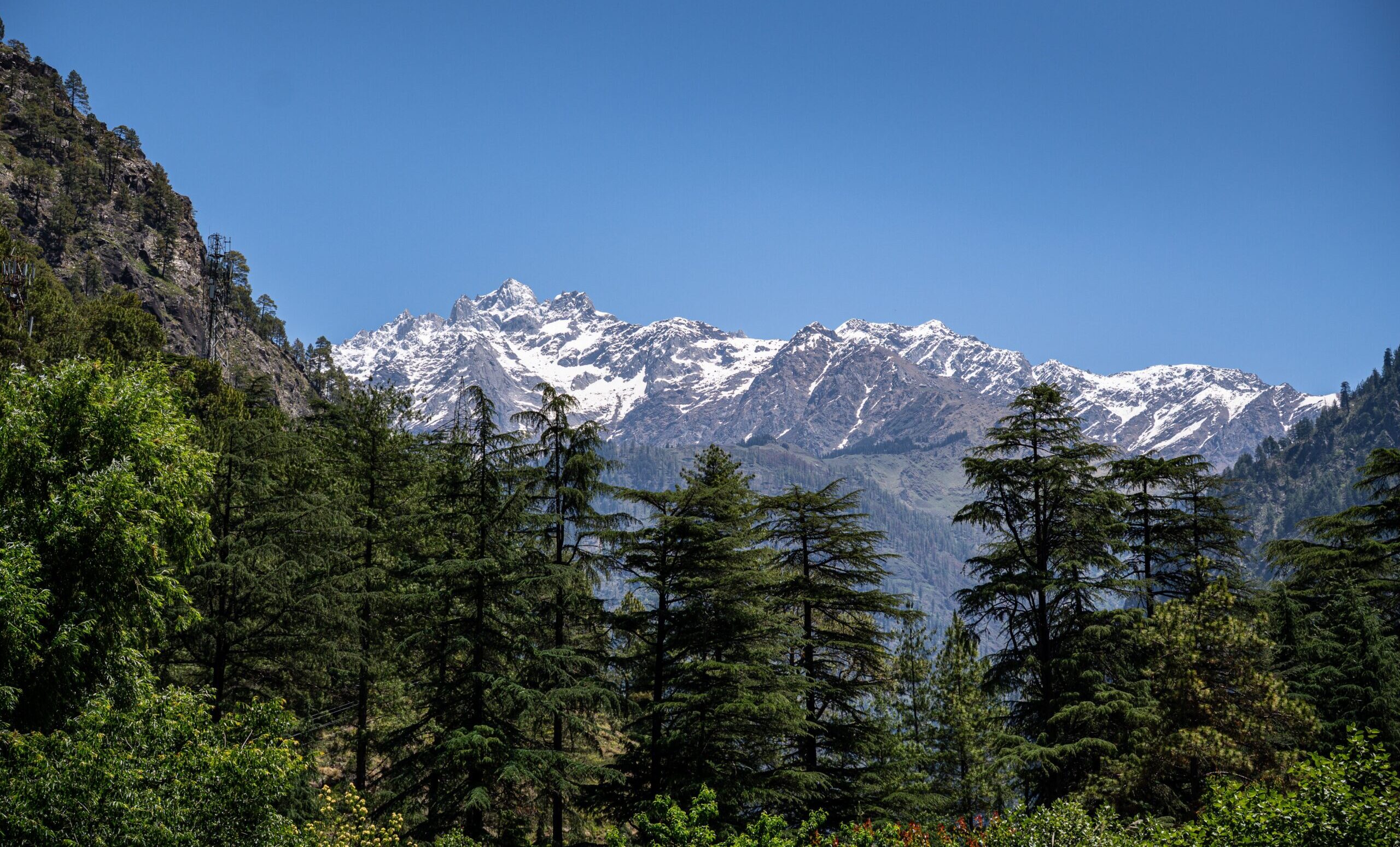 A snow-capped mountain in the distance, under a blue sky, surrounded by green pine trees in Kasol, Himachal Pradesh