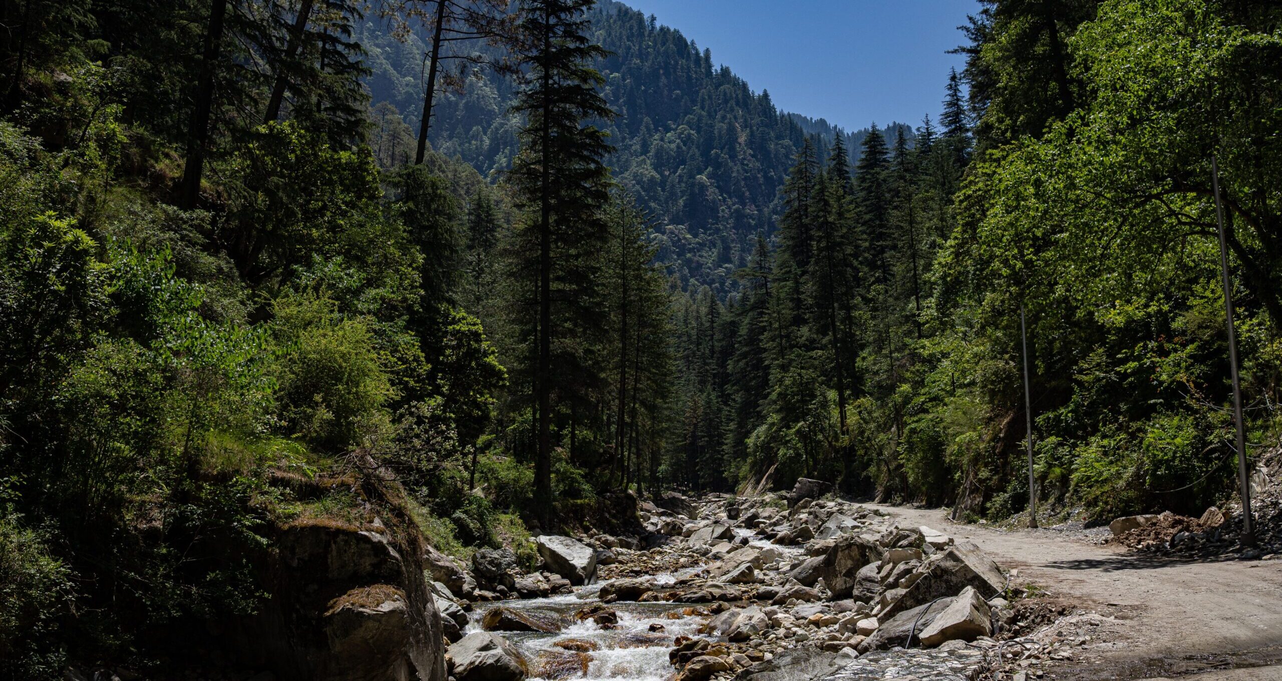 A road through a gorgeous lush green areas with a river running along the side