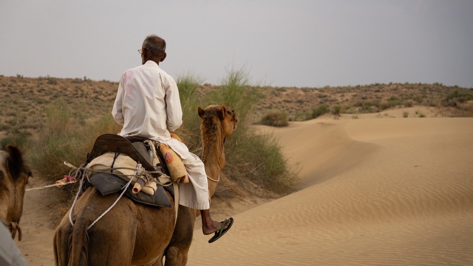 An elderly Indian man riding a camel through the desert