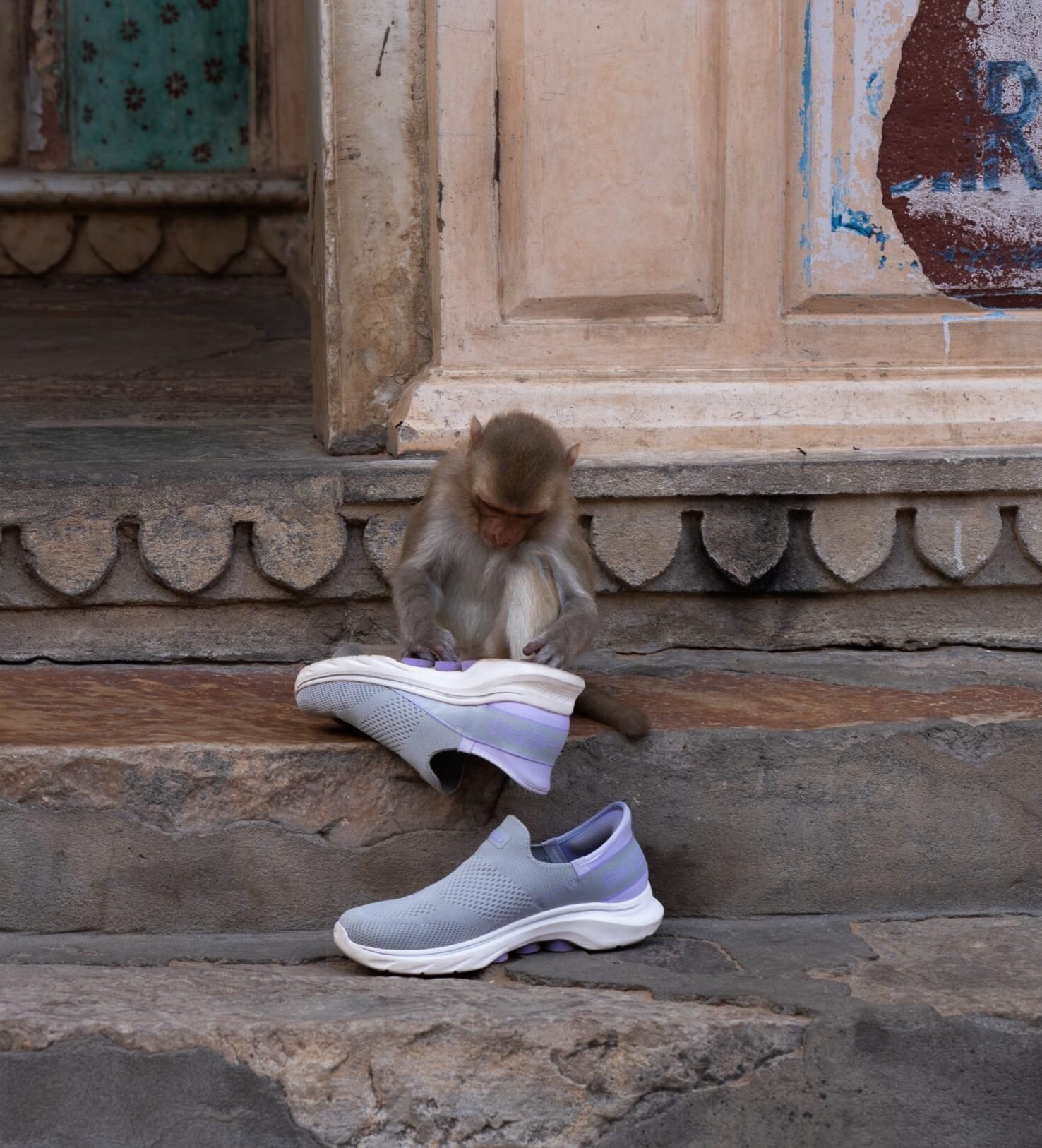 A monkey picking at a pair of purple shoes
