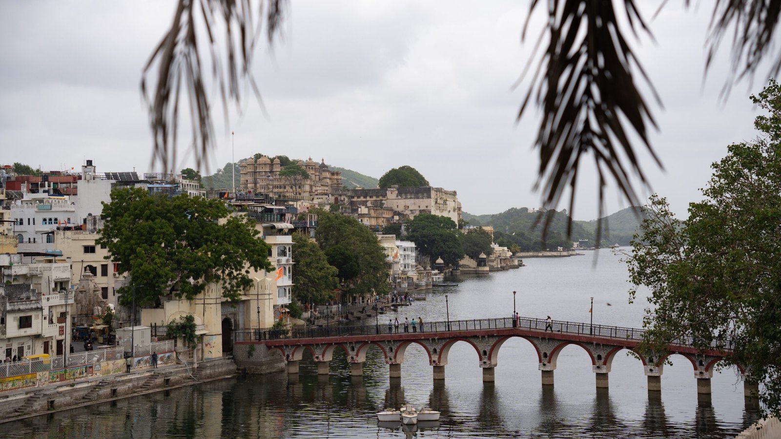 The grey skies over the city of Udaipur with a tree coming over a red bridge