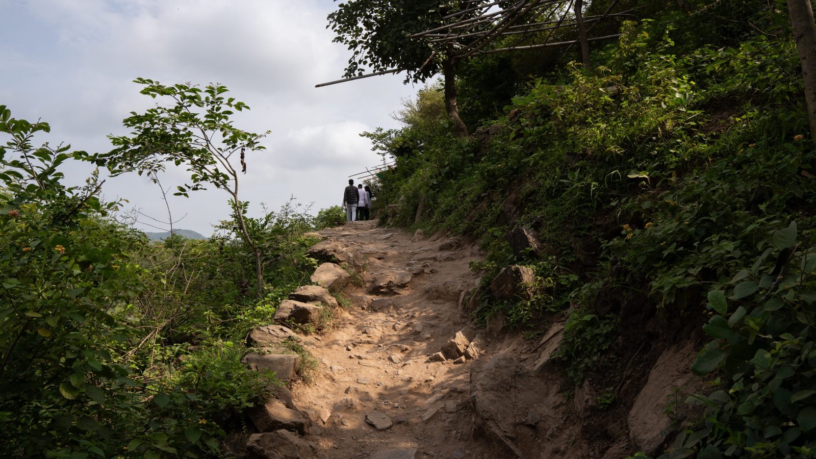 An uneven but clear sandy path along the edge of a hill with trees and greenery.