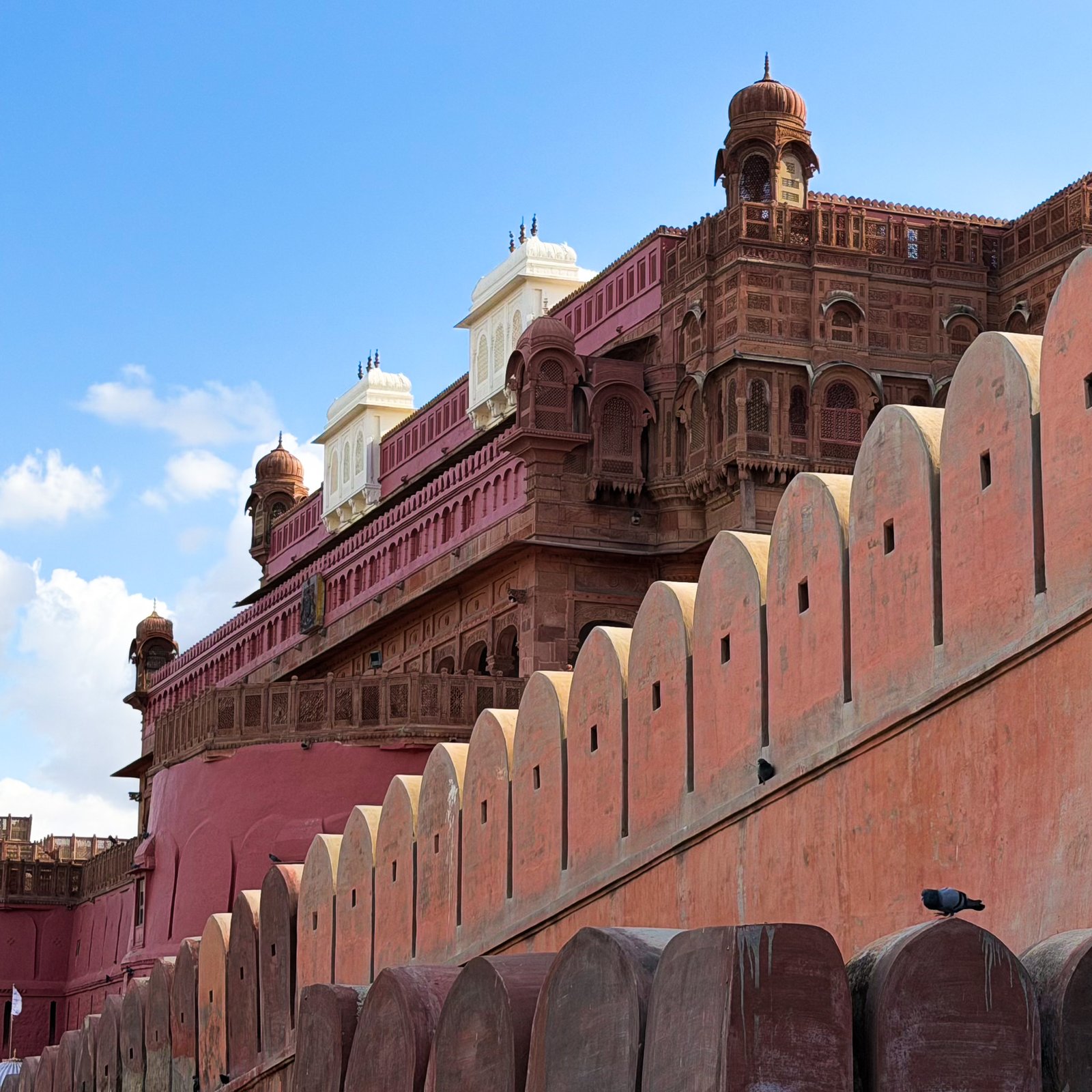 A pink fort with blue skies - a highlight of Bikaner