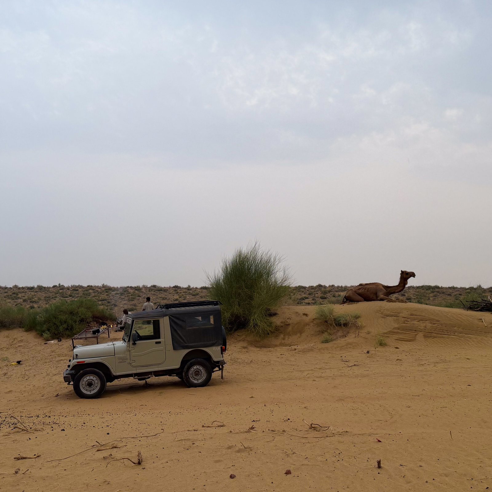 A wide view of the Thar Desert in Jaisalmer with a camel, jeep and bed for an overnight stay visable.