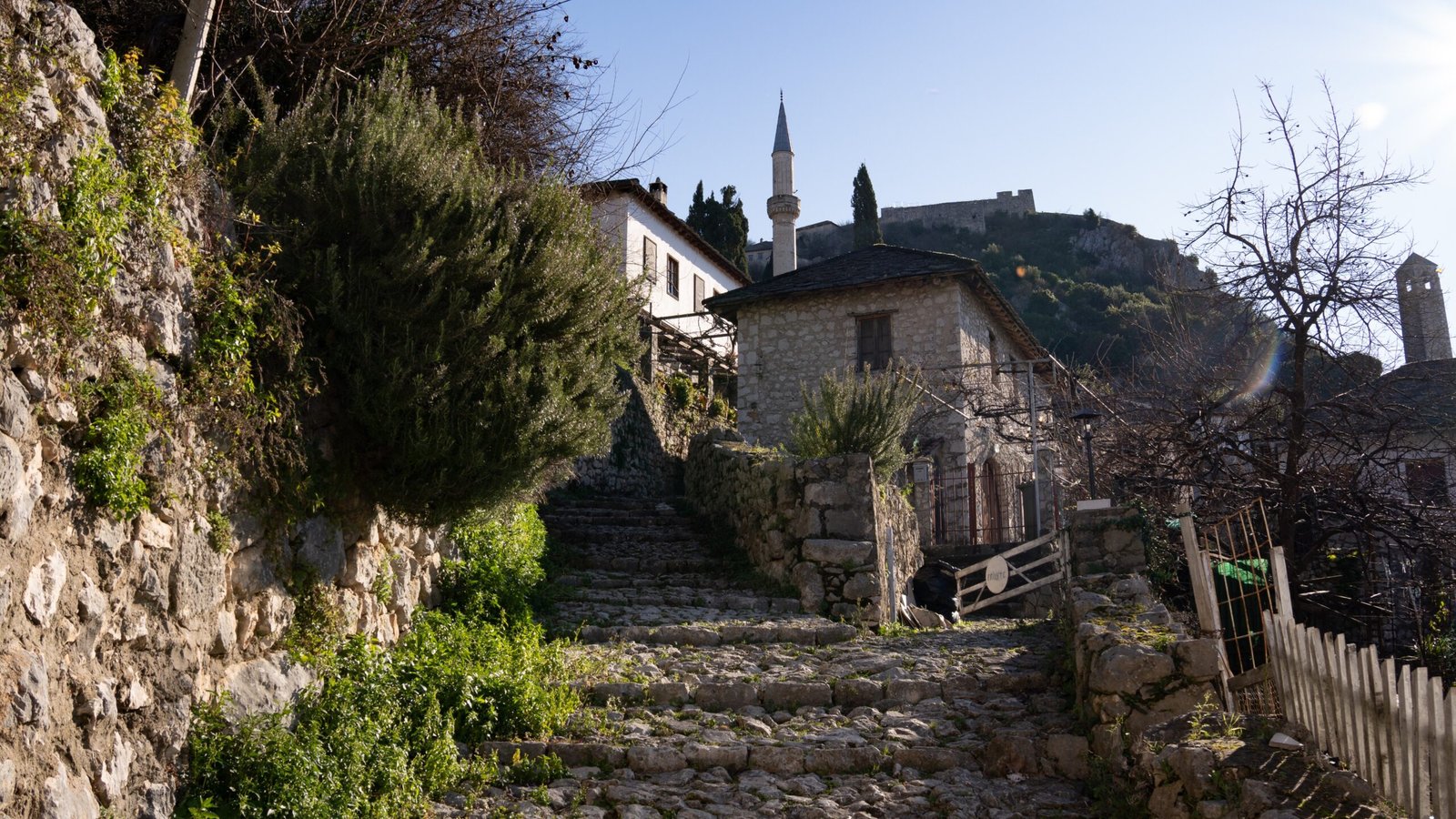 A stone step way up to historic houses with greenery