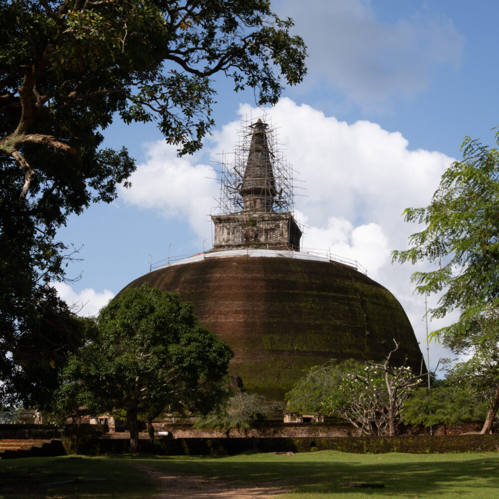 Rankot Vehera