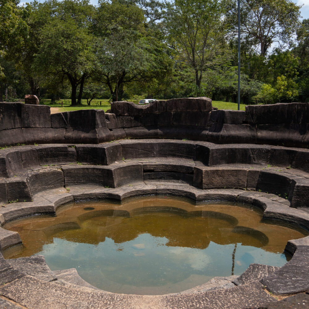 Lotus Pond